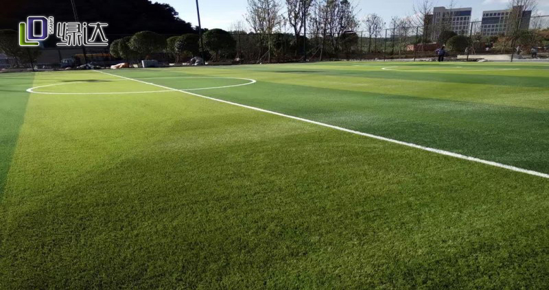 新疆和田廣播電視大學(xué)人造草坪足球場(chǎng)